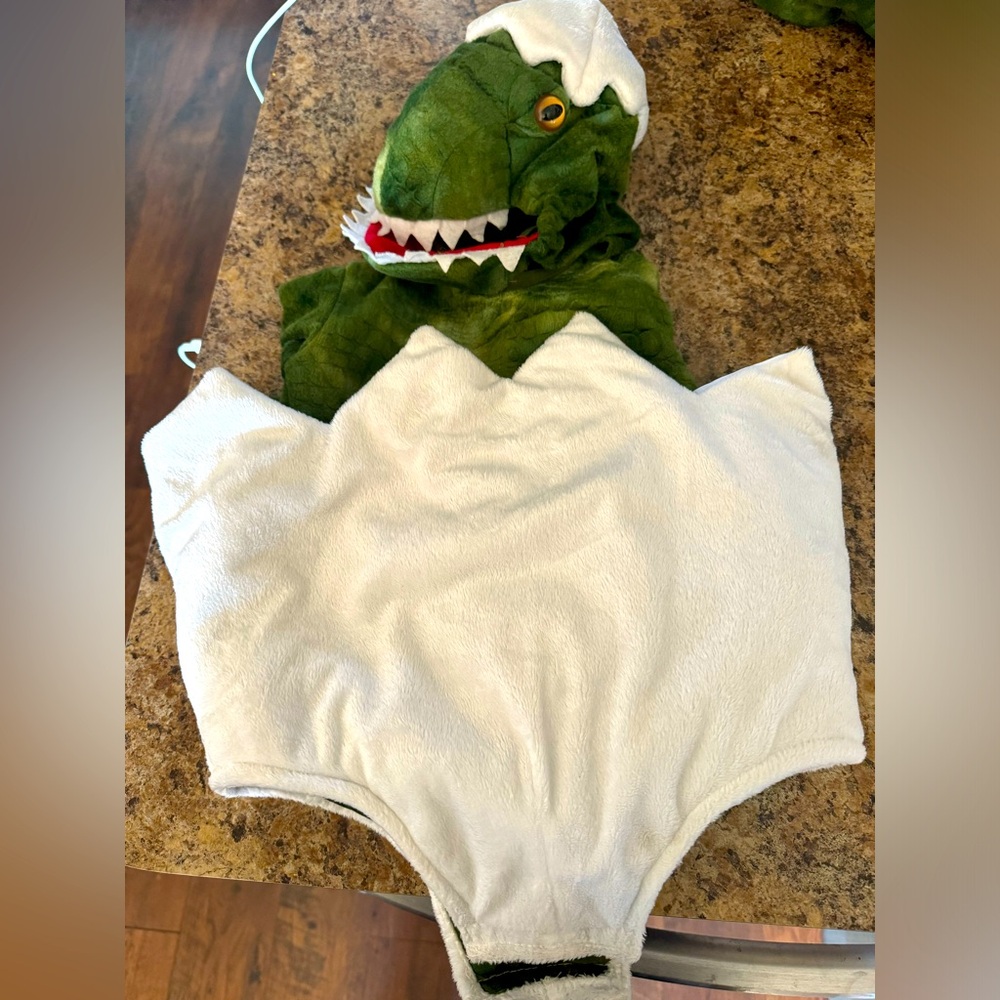 Pottery Barn baby dinosaur egg costume 12-24 months